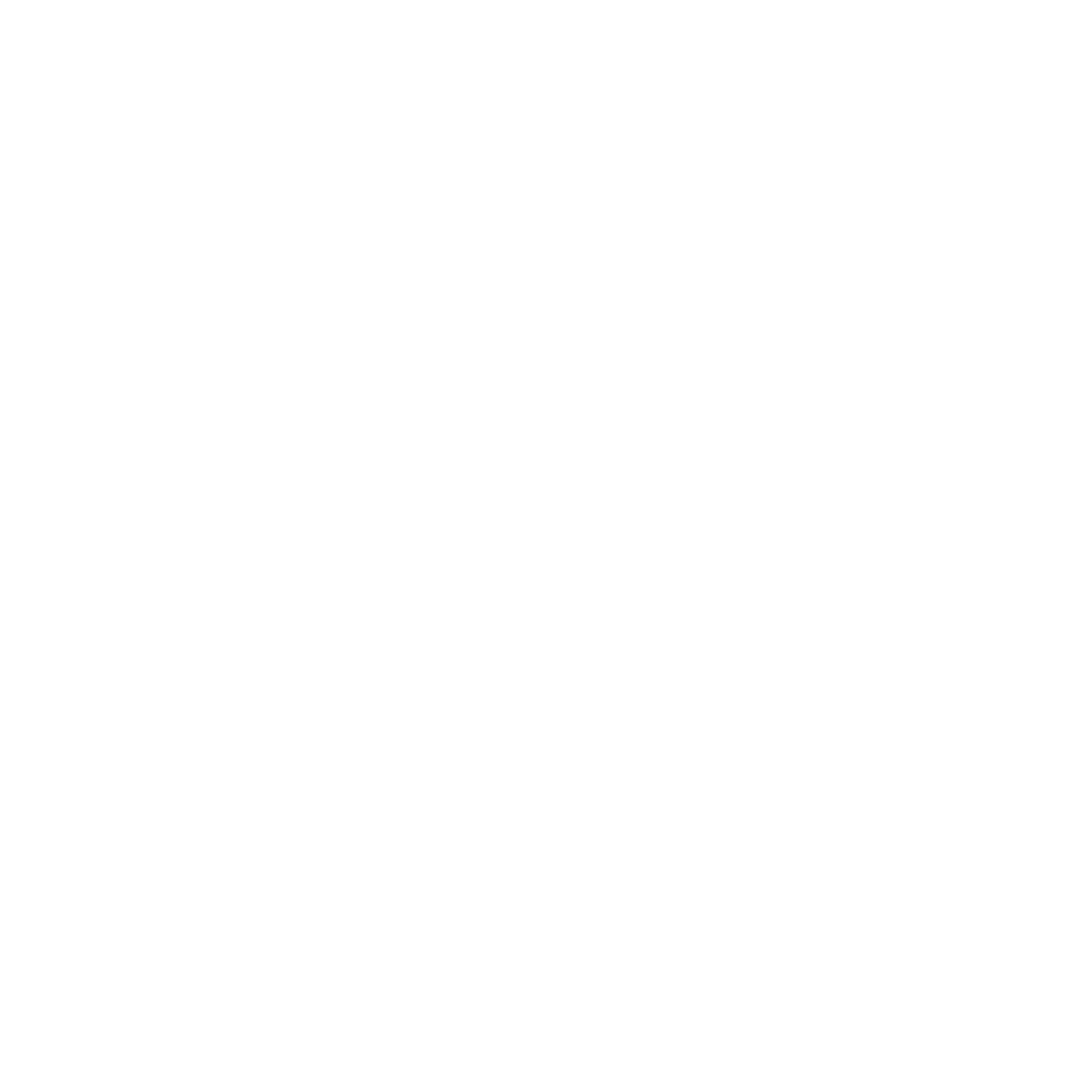 Aurora X Solutions